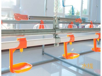 肉鸡自动化饮水系统